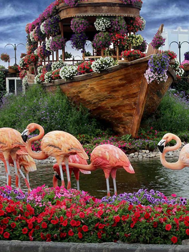 The 5 Best Dubai Gardens