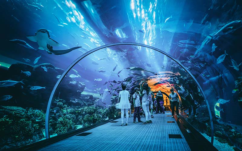 Dubai Aquarium and Zoo