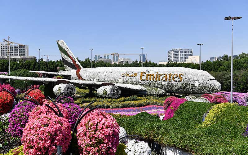 Miracle Garden Dubai