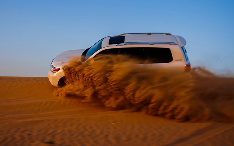 Dubai Safari
