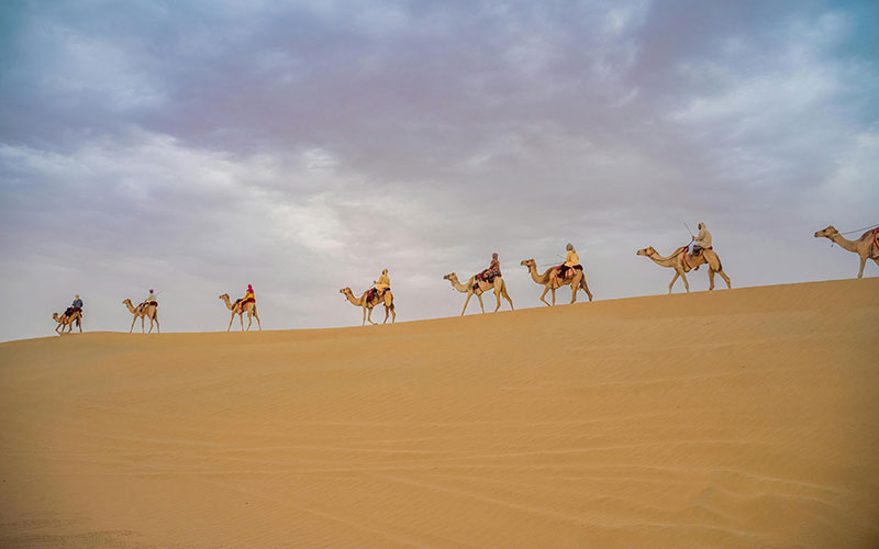 Camel Ride in Dubai