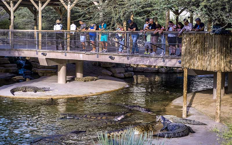 Dubai Crocodile Park