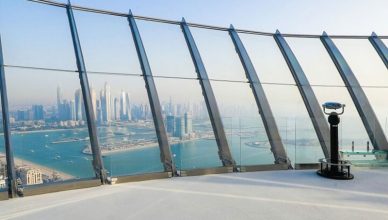 View at the Palm Observation Deck