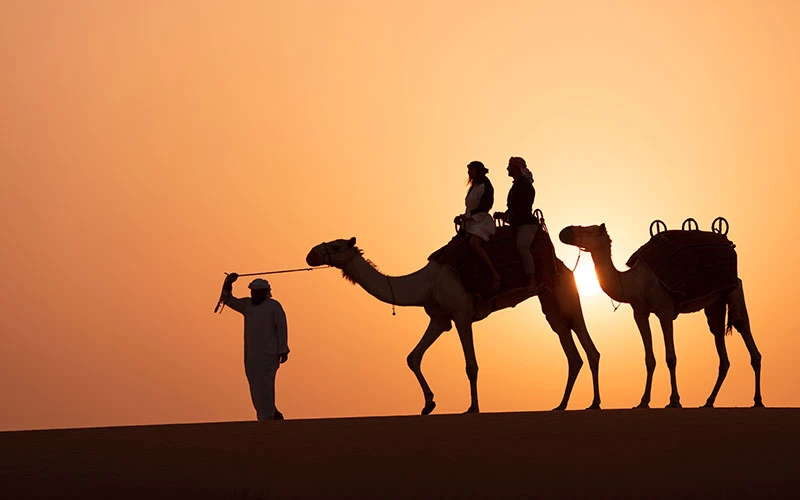 Evening Camel Desert Safari